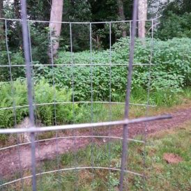 Safe Free Ranging Using Chunnels Image